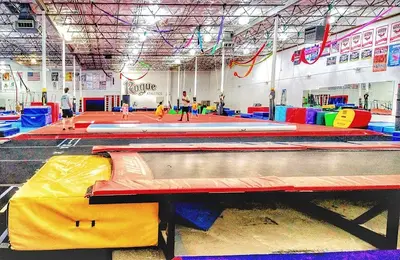 Rogue Athletics image 1