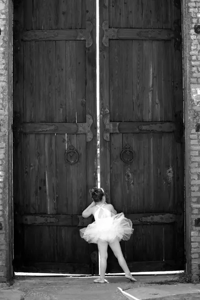Dream Dance Center image 1