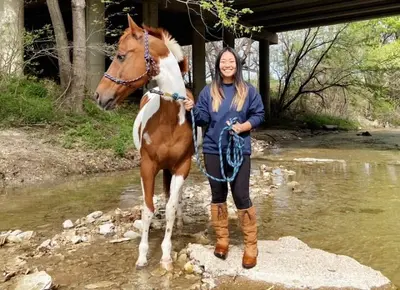 GOOD REINS Equestrian & Fine Art Ministry image 1