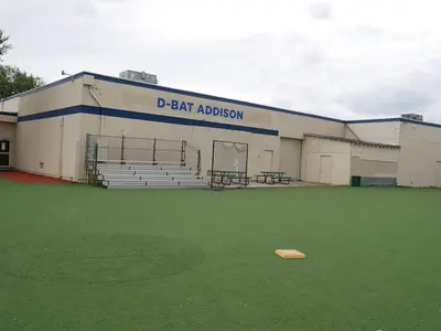 D-BAT Addison image 1