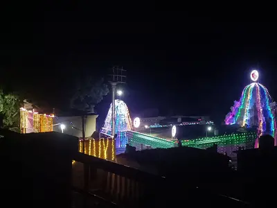 机构图片 5