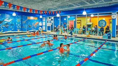 Goldfish Swim School - Arlington Heights image 1