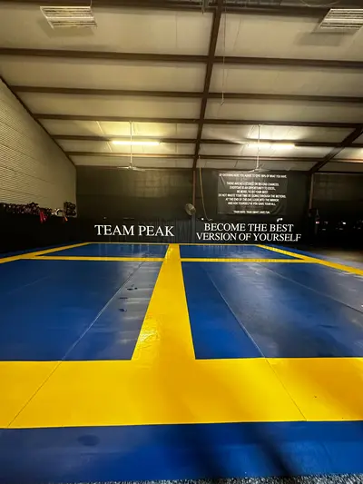 Peak Performance MMA & BJJ image 1