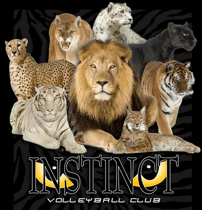 Instinct Volleyball Club image 1