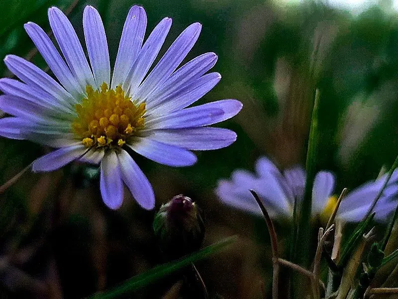 机构图片 1